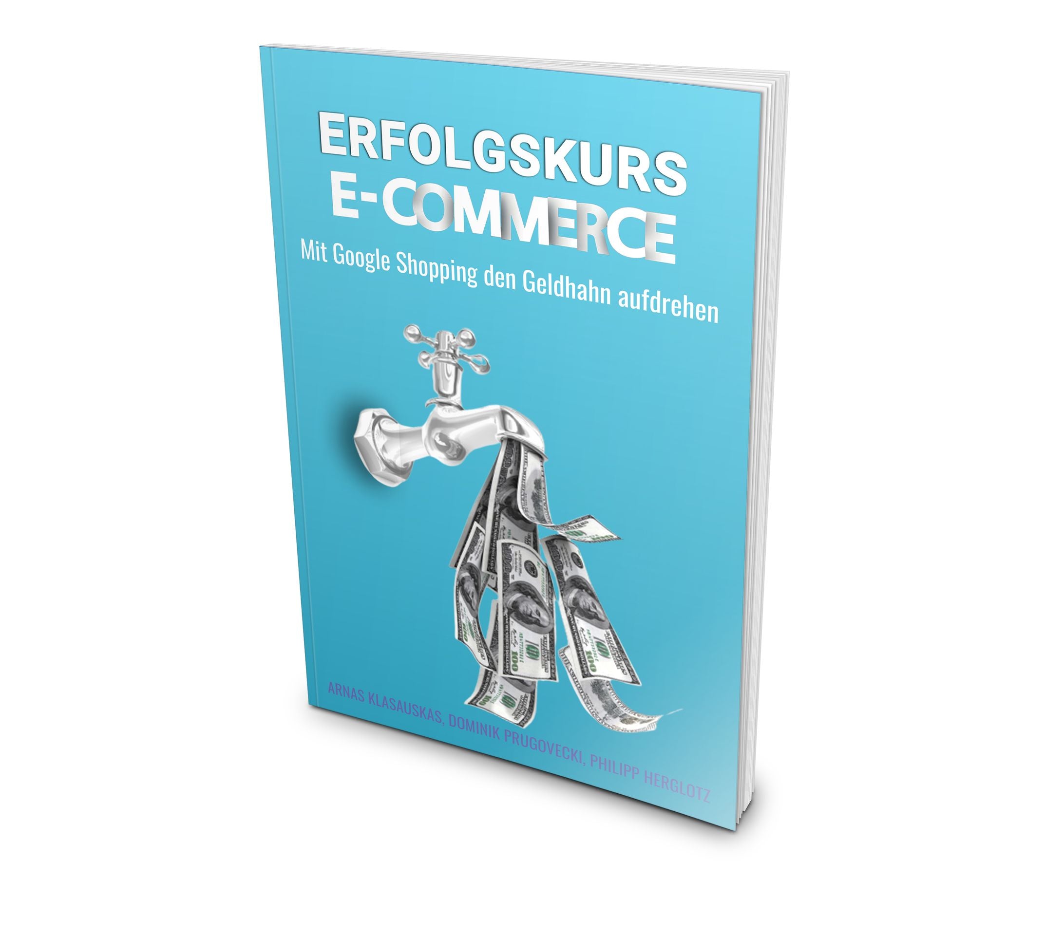 Erfolgskurs E-Commerce: Mit Google Shopping den Geldhahn aufdrehen (eBook-Ausgabe)