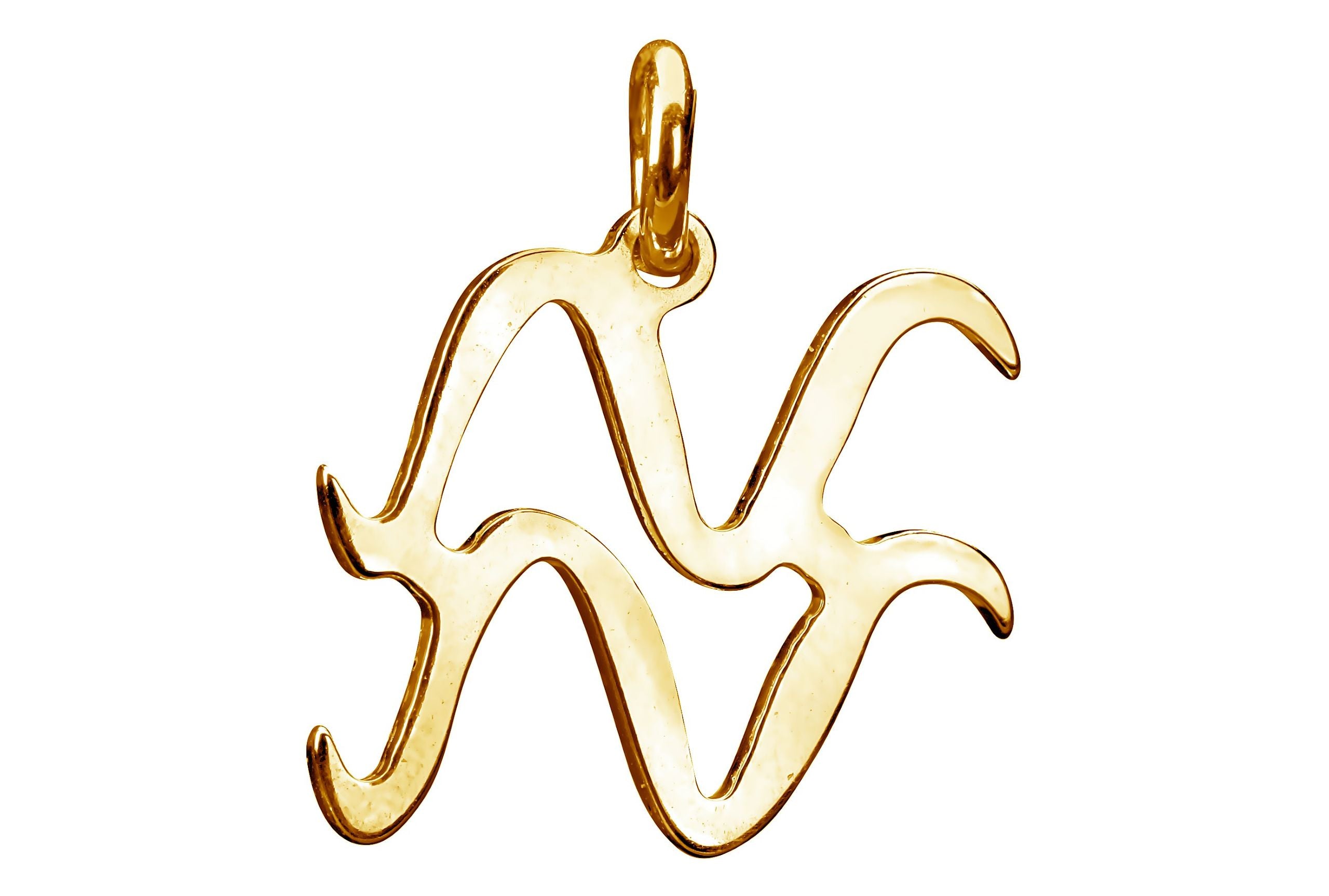 Vergoldete Sternzeichen Kette Wassermann